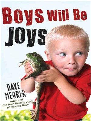 cover image of Boys Will Be Joys